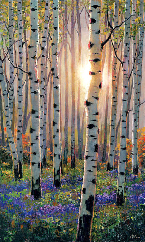 Luminous Aspens by Bob Pejman