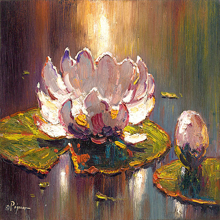 Pejman White Lily Solo